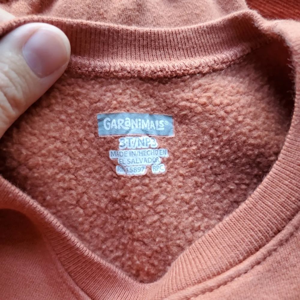Garanimals Matching Fleece Sweat Set, Clay Color, size 3T - Picture 2 of 7